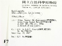 登錄號:F0007923藏品圖，第2張