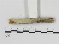 登錄號:F0007924藏品圖，第1張