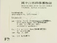 登錄號:F0007927藏品圖，第2張