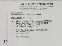 刺革菌屬藏品圖，第2張