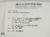 登錄號:F0007929藏品圖，第2張