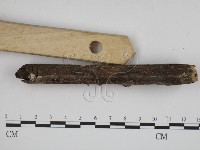 登錄號:F0007929藏品圖，第3張