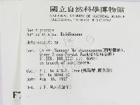 刺皮菌屬藏品圖，第2張