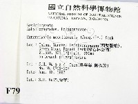 登錄號:F0007931藏品圖，第2張