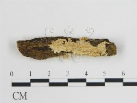 登錄號:F0007932藏品圖，第1張