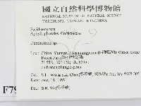 登錄號:F0007934藏品圖，第2張