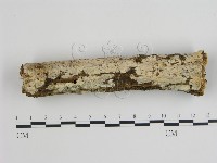 登錄號:F0007934藏品圖，第1張