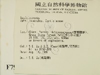 登錄號:F0007937藏品圖，第2張