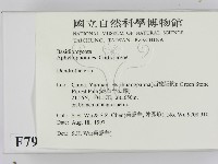 登錄號:F0007938藏品圖，第2張