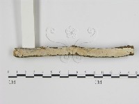 登錄號:F0007938藏品圖，第1張