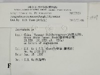 登錄號:F0007939藏品圖，第2張