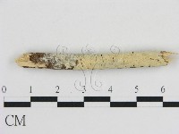 登錄號:F0007940藏品圖，第1張