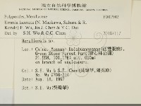 登錄號:F0007942藏品圖，第2張