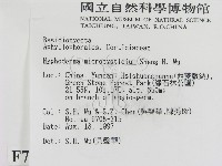 登錄號:F0007943藏品圖，第2張