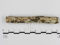 登錄號:F0007943藏品圖，第1張