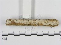 登錄號:F0007945藏品圖，第1張