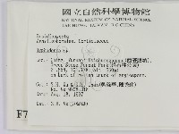 絲皮菌屬藏品圖，第2張