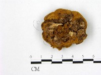 登錄號:F0007950藏品圖，第3張