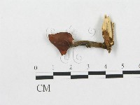 登錄號:F0007951藏品圖，第3張
