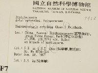 登錄號:F0007952藏品圖，第2張