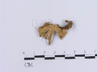 登錄號:F0007953藏品圖，第3張