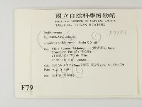 登錄號:F0007954藏品圖，第2張