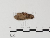 登錄號:F0007954藏品圖，第1張