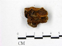 登錄號:F0007955藏品圖，第1張