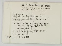 登錄號:F0007956藏品圖，第2張