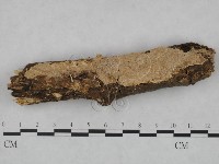 登錄號:F0007958藏品圖，第1張