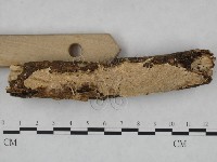 登錄號:F0007958藏品圖，第3張