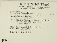 登錄號:F0007959藏品圖，第2張