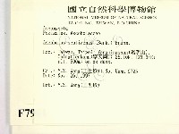 登錄號:F0007961藏品圖，第2張