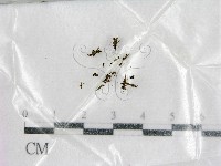 登錄號:F0007963藏品圖，第1張