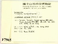 登錄號:F0007965藏品圖，第2張