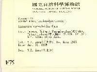 登錄號:F0007967藏品圖，第2張