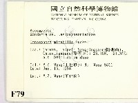 登錄號:F0007971藏品圖，第2張