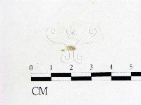 登錄號:F0007971藏品圖，第1張