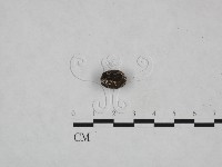 登錄號:F0007972藏品圖，第1張