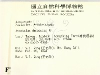 登錄號:F0007974藏品圖，第2張