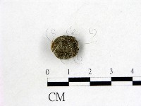 登錄號:F0007974藏品圖，第3張