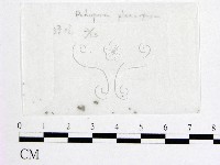 登錄號:F0007977藏品圖，第1張