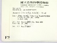 登錄號:F0007978藏品圖，第2張