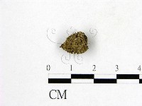 登錄號:F0007978藏品圖，第1張