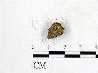 登錄號:F0007978藏品圖，第3張