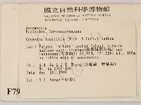 登錄號:F0007979藏品圖，第2張