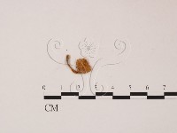 登錄號:F0007979藏品圖，第3張