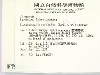 登錄號:F0007980藏品圖，第2張