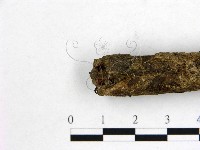 登錄號:F0007980藏品圖，第3張