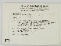 炭角菌屬藏品圖，第2張